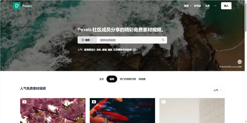 图片展示的是Pexels网站界面，背景为海浪冲击岩石的场景。上方有“Pexels”标志及搜索栏，搜索栏内提示“搜索免费视频”。下方有“人气免费素材视频”板块，展示了多张图片，如盛开的樱花、游动的锦鲤等。该图片与文档中“编辑封面”步骤相关，说明在Pexels网站上可找到免费素材图片，用于视频封面编辑，以增加视频吸引力。