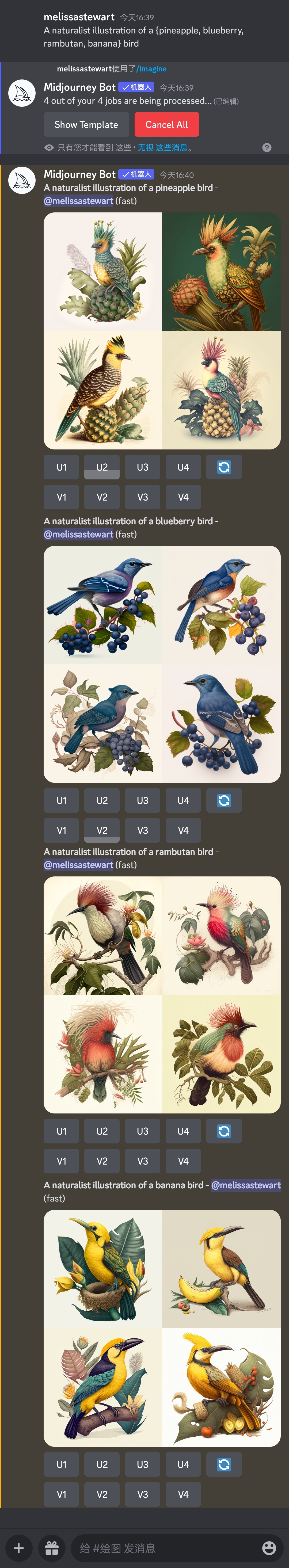 图片展示了MidJourney AI使用排列特征功能生成的图像结果。用户输入提示“A naturalist illustration of a {pineapple, blueberry, rambutan, banana} bird”后，MidJourney Bot生成了四组图像，分别为菠萝鸟、蓝莓鸟、红毛丹鸟和香蕉鸟的自然主义插图，每组包含4张不同样式的图。图像中鸟儿色彩鲜艳，与对应的水果及植物背景搭配，呈现出自然主义插画风格。这些图像直观呈现了排列特征功能仅替换大括号内主题来生成变体图像的效果。