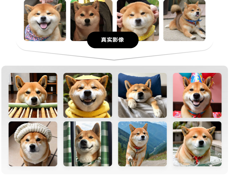 图片展示了多组柴犬的影像。上方是四张柴犬的真实影像，有的张嘴露舌，有的被人抚摸。下方是八张经过处理的柴犬影像，它们或戴着帽子、围巾，或身处不同场景，如室内、户外山水间等。图片位于文档中“宠物影像”场景案例部分，展示了通过SD云端版本可对宠物影像进行创作处理，呈现出多样的宠物形象效果，体现了该版本在宠物影像创作方面的应用。