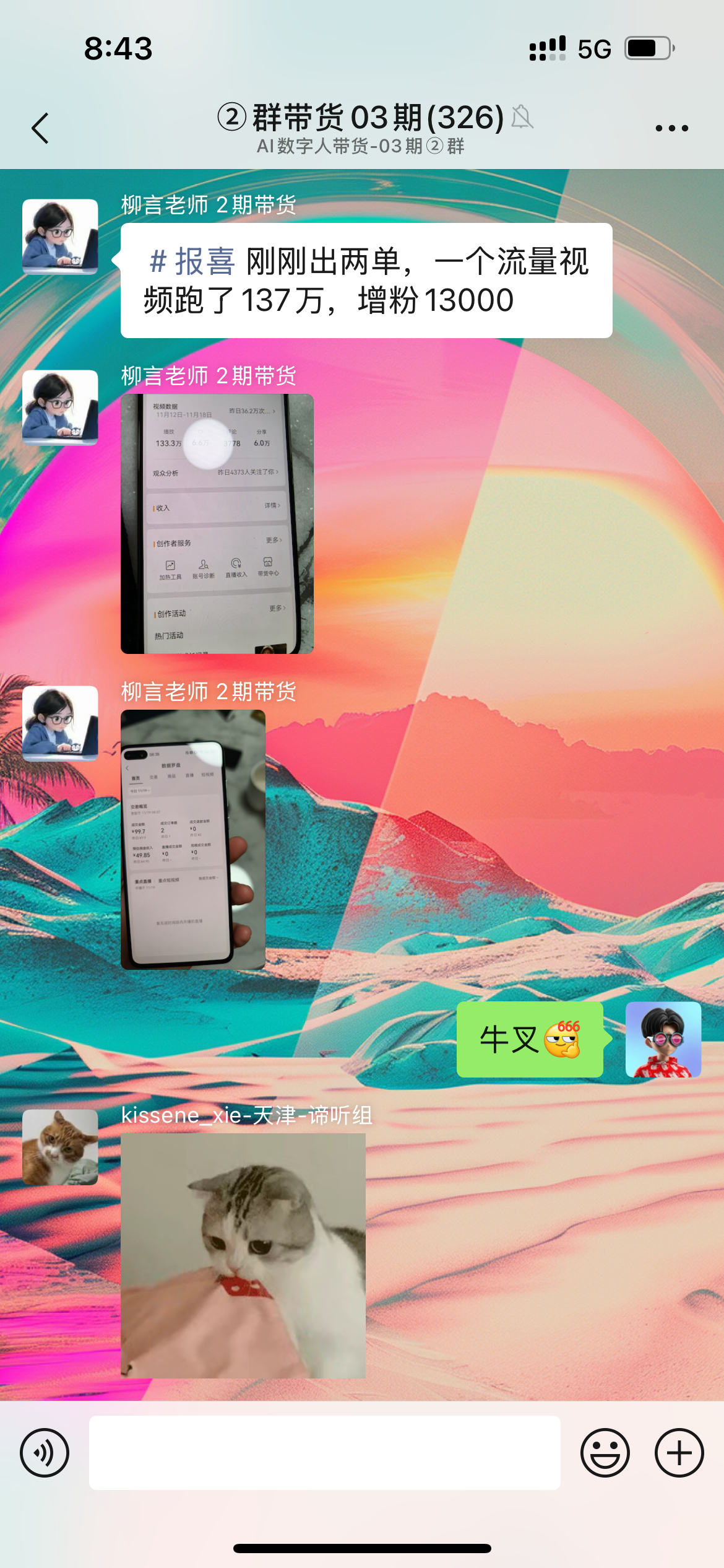 图片展示的是一个视频号群带货的聊天界面。上方显示时间为8:43，有“群带货03期(326)”的群聊标题。群内有用户分享“#报喜 刚刚出两单，一个流量视频跑了137万，增粉130000”的内容，下方配有手机屏幕截图。画面右下角有“牛叉”“牛叉”表情，左下角有“kissense”de-天津-谛听组”标识。该图片与上下文介绍的视频号带货群聊互动场景相契合，直观呈现了群聊中分享带货数据及互动情况。