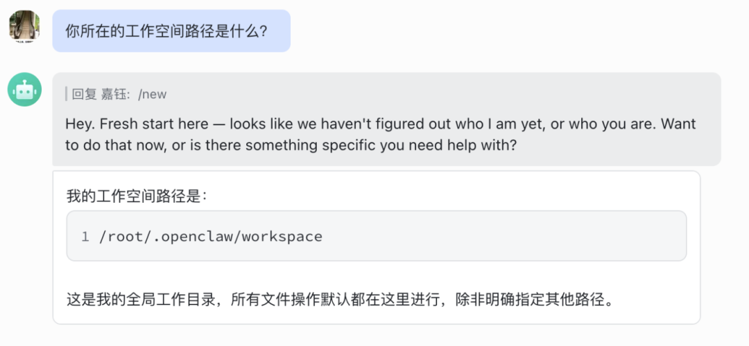 图片展示了OpenClaw多Agent配置指南中“步骤八：添加机器人到群组”后，验证主Agent是否返回了默认的workspace路径的测试结果。画面中，机器人回复嘉钰“/new”，并询问是否想做些什么或有具体帮助需求。下方显示“我的工作空间路径是：/root/.openclaw/workspace”，并说明这是全局工作目录，所有文件操作默认都在此进行，除非明确指定其他路径。该图片与上文验证主Agent返回默认workspace路径的内容对应，直观呈现了测试结果。