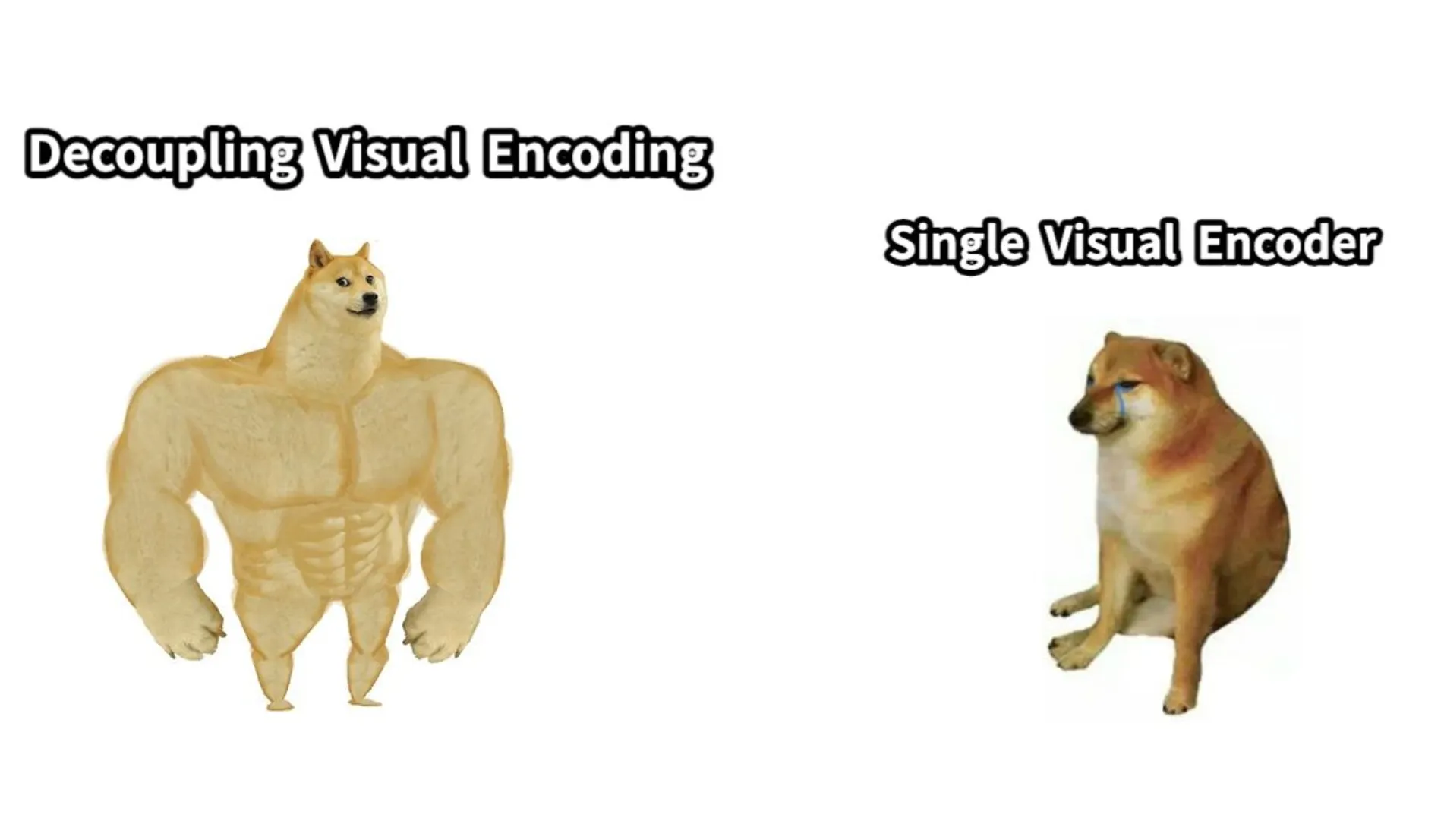 图片中左侧是肌肉发达的健壮Doge，上方文字为“Decoupling Visual Encoding”，代表强大高效的视觉编码方法；右侧是体型较小、肌肉不发达且坐着的Doge，上方文字为“Single Visual Encoder”，象征简单或不太强大的视觉编码方式。这张图是对两种视觉编码方法的幽默对比示例，用不同状态的Doge形象地展现其强弱差异，与文档中介绍用AI解释图片的多模态理解功能内容相契合。